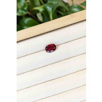 2.91 Ct. Rubellite Tourmaline from Brazil Life Style