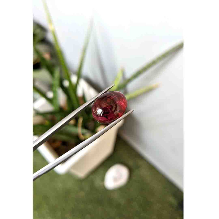 12.54 Ct. Cabochon Rubellite Tourmaline from Brazil