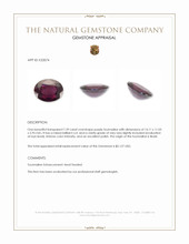 7.39 Ct. Tourmaline from Brazil Appraisal