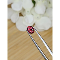 1.50 Ct. Garnet from Ceylon (Sri Lanka) Life Style