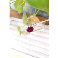 3.42 Ct. Rubellite Tourmaline from Brazil Life Style