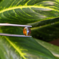 4.85 Ct. Cabochon Chrysoberyl from Ceylon (Sri Lanka) Life Style