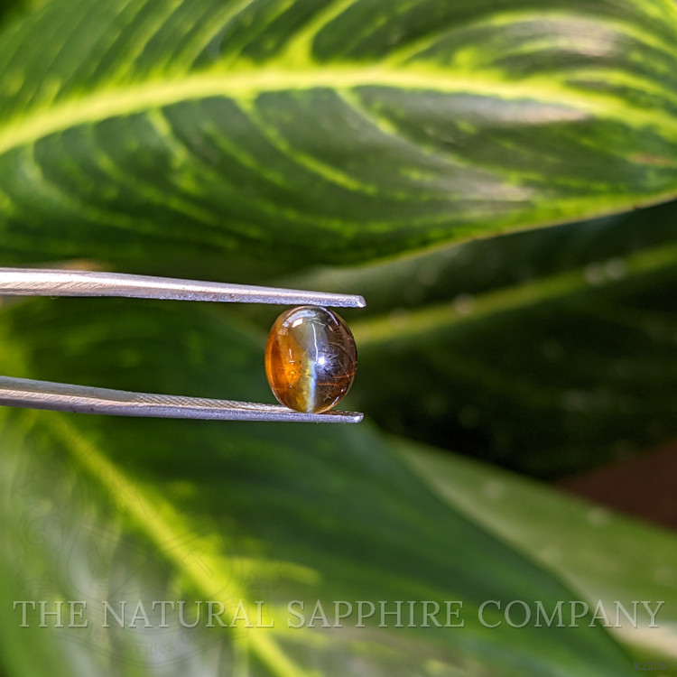 4.85 Ct. Cabochon Chrysoberyl from Ceylon (Sri Lanka)