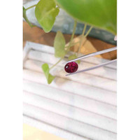 3.81 Ct. Rubellite Tourmaline from Brazil Life Style