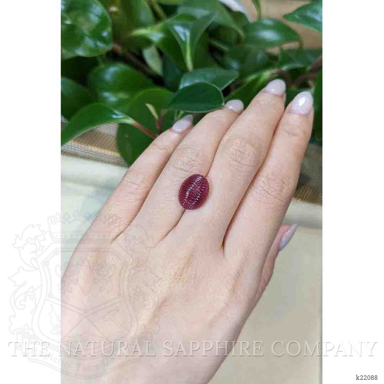6.20 Ct. Cabochon Rubellite Tourmaline from Brazil
