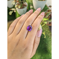 4.29 Ct. Amethyst from Ceylon (Sri Lanka) Life Style