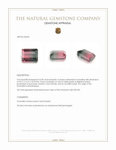 32.38 Ct. Watermelon Tourmaline from Mozambique Appraisal