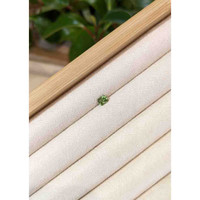 0.55 Ct. Demantoid Garnet from Namibia Life Style