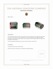 33.50 Ct. Tourmaline from Mozambique Appraisal