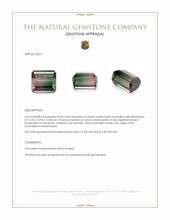 33.50 Ct. Tourmaline from Mozambique Appraisal