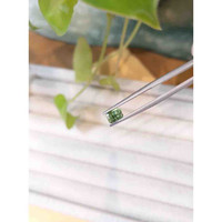 0.75 Ct. Demantoid Garnet from Namibia Life Style