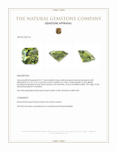 0.77 Ct. Demantoid Garnet from Namibia Appraisal