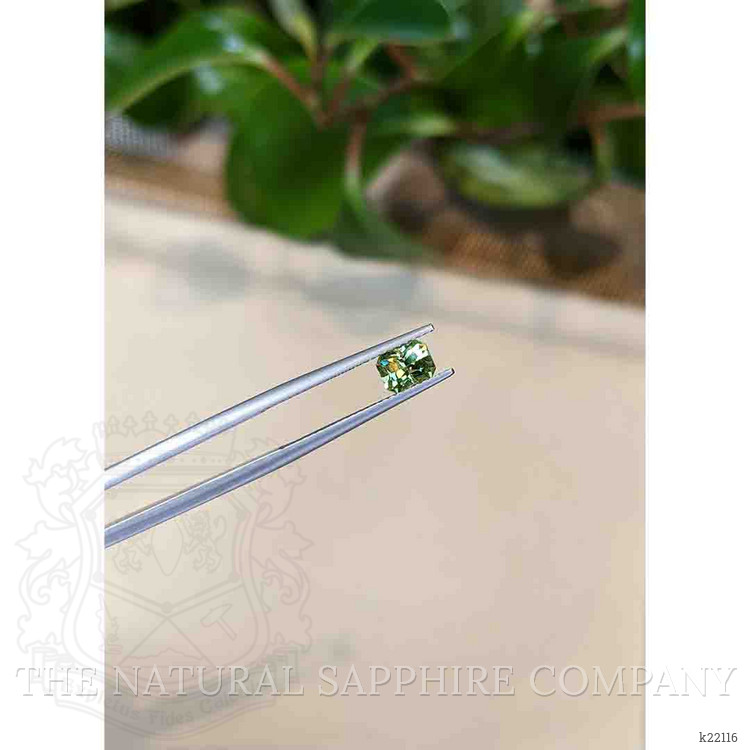 0.96 Ct. Demantoid Garnet from Namibia