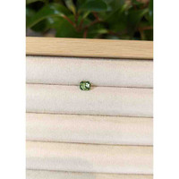 0.96 Ct. Demantoid Garnet from Namibia Life Style