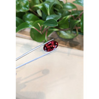 16.67 Ct. Rubellite Tourmaline from Brazil Life Style