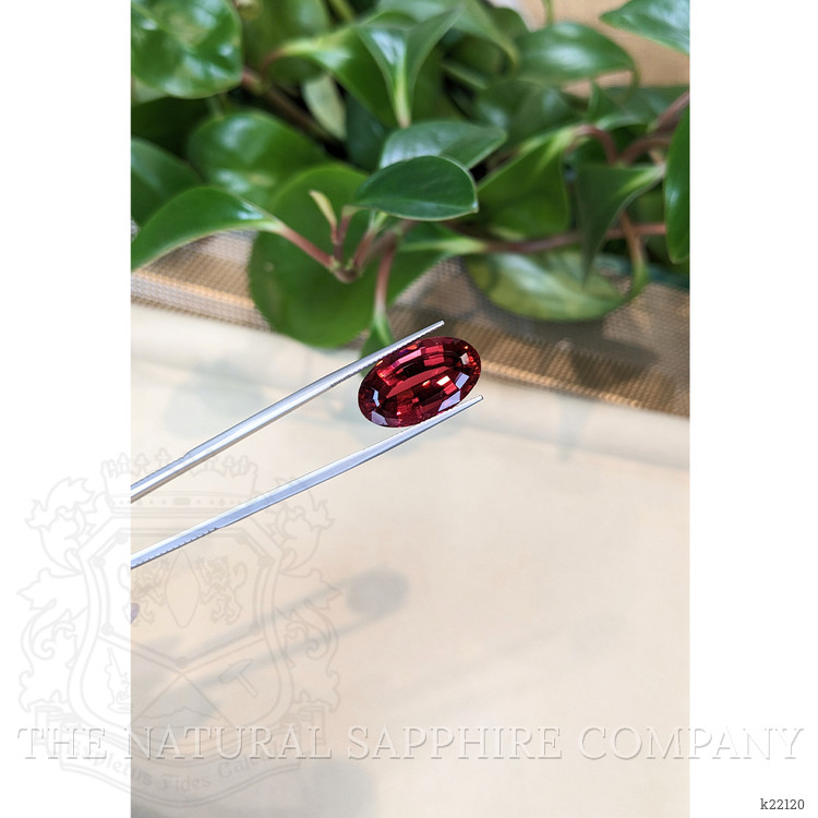 16.67 Ct. Rubellite Tourmaline from Brazil