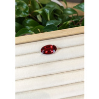 16.67 Ct. Rubellite Tourmaline from Brazil Life Style