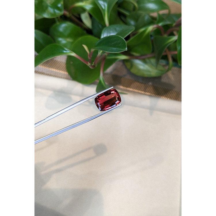9.41 Ct. Rubellite Tourmaline from Brazil