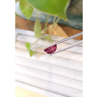 3.91 Ct. Tourmaline from Mozambique Life Style