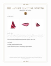 3.89 Ct. Pink Tourmaline from Mozambique Appraisal