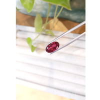 4.80 Ct. Rubellite Tourmaline from Mozambique Life Style