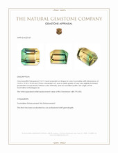 15.17 Ct. Tourmaline from Madagascar Appraisal