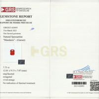 7.73 Ct. Spessartite Garnet from Ceylon (Sri Lanka) Scan Report
