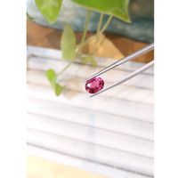 3.20 Ct. Tourmaline from Mozambique Life Style