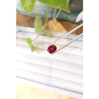 2.75 Ct. Tourmaline from Mozambique Life Style