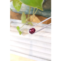 3.85 Ct. Tourmaline from Mozambique Life Style