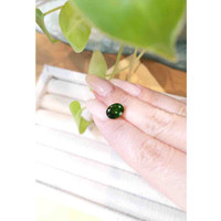 3.02 Ct. Chrome Tourmaline from Africa Life Style