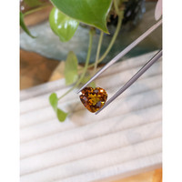 6.24 Ct. Madeira Citrine from Bolivia Life Style