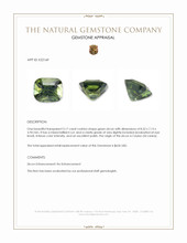 3.17 Ct. Green Zircon from Ceylon (Sri Lanka) Appraisal