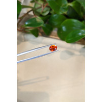 0.78 Ct. Fire Opal from Mexico Life Style