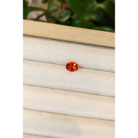 0.78 Ct. Fire Opal from Mexico Life Style