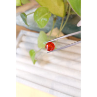 1.79 Ct. Fire Opal from Mexico Life Style