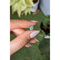 1.13 Ct. Cabochon Black Opal from Australia Life Style