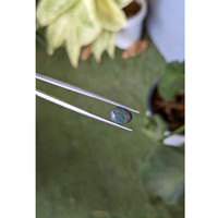 1.25 Ct. Cabochon Black Opal from Australia Life Style