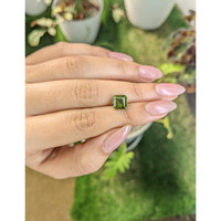 2.02 Ct. Tourmaline from Ceylon (Sri Lanka) Life Style