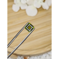 2.02 Ct. Tourmaline from Ceylon (Sri Lanka) Life Style