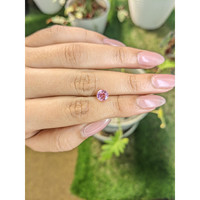 1.22 Ct. Tourmaline from Ceylon (Sri Lanka) Life Style