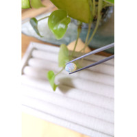 0.74 Ct. Cabochon Black Opal from Australia Life Style