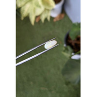 2.24 Ct. Cabochon White Opal from Australia Life Style