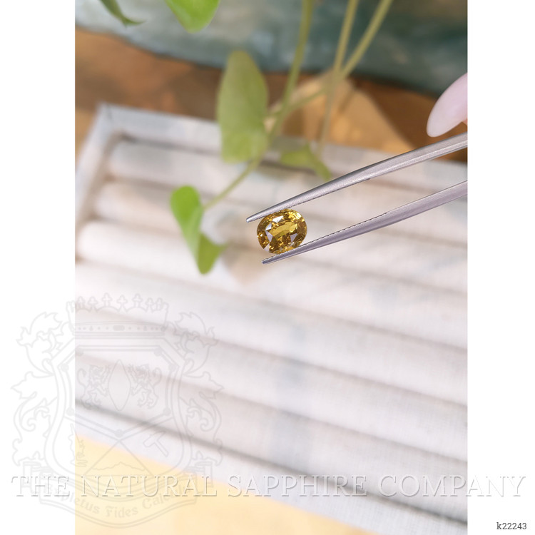 2.16 Ct. Yellowish Brown Chrysoberyl from Ceylon (Sri Lanka)