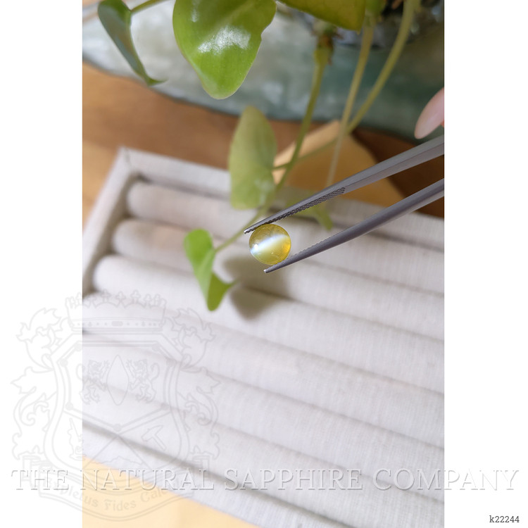 3.05 Ct. Cabochon Chrysoberyl from Ceylon (Sri Lanka)