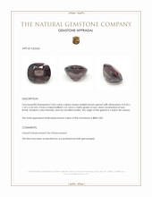 3.06 Ct. Reddish Brown Garnet from Ceylon (Sri Lanka) Appraisal