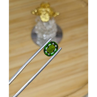 1.87 Ct. Chrome Diopside from Brazil Life Style
