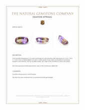 7.63 Ct. Ametrine from Ceylon (Sri Lanka) Appraisal