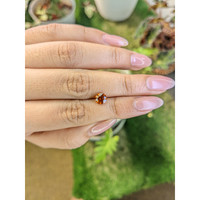 1.15 Ct. Hessonite Garnet from Madagascar Life Style