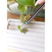 0.63 Ct. Cabochon Black Opal from Australia Life Style